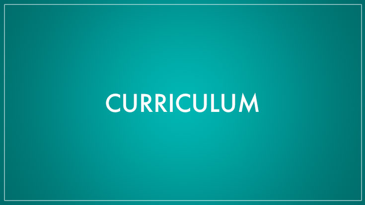Curriculum