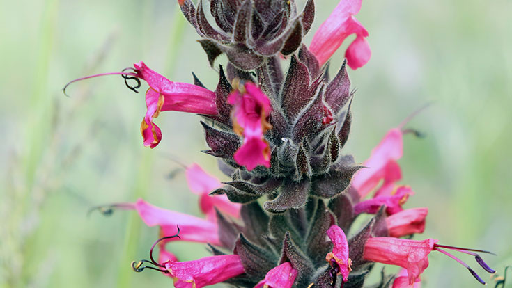 Equity in Professional Learning