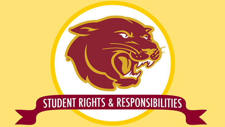 Student Rights and Responsibilities