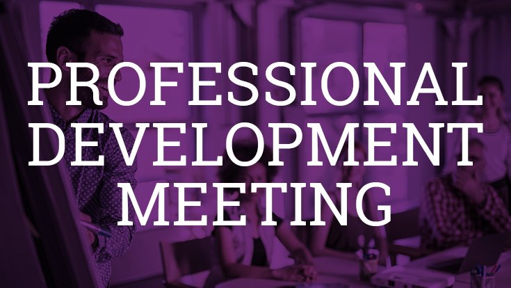 Professional Development